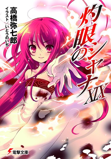 灼眼のシャナ １９