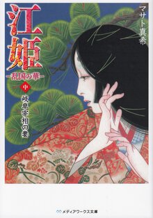 江姫 乱国の華 中 岐阜宰相の妻
