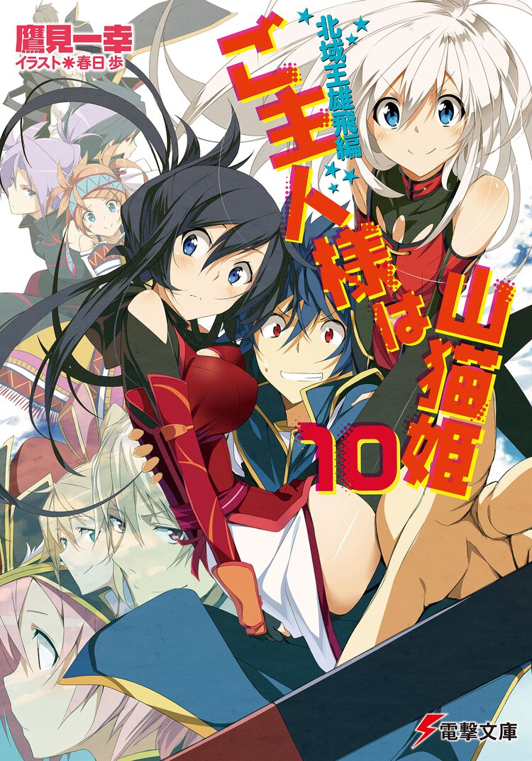 ご主人様は山猫姫 １０（北域王雄飛編）