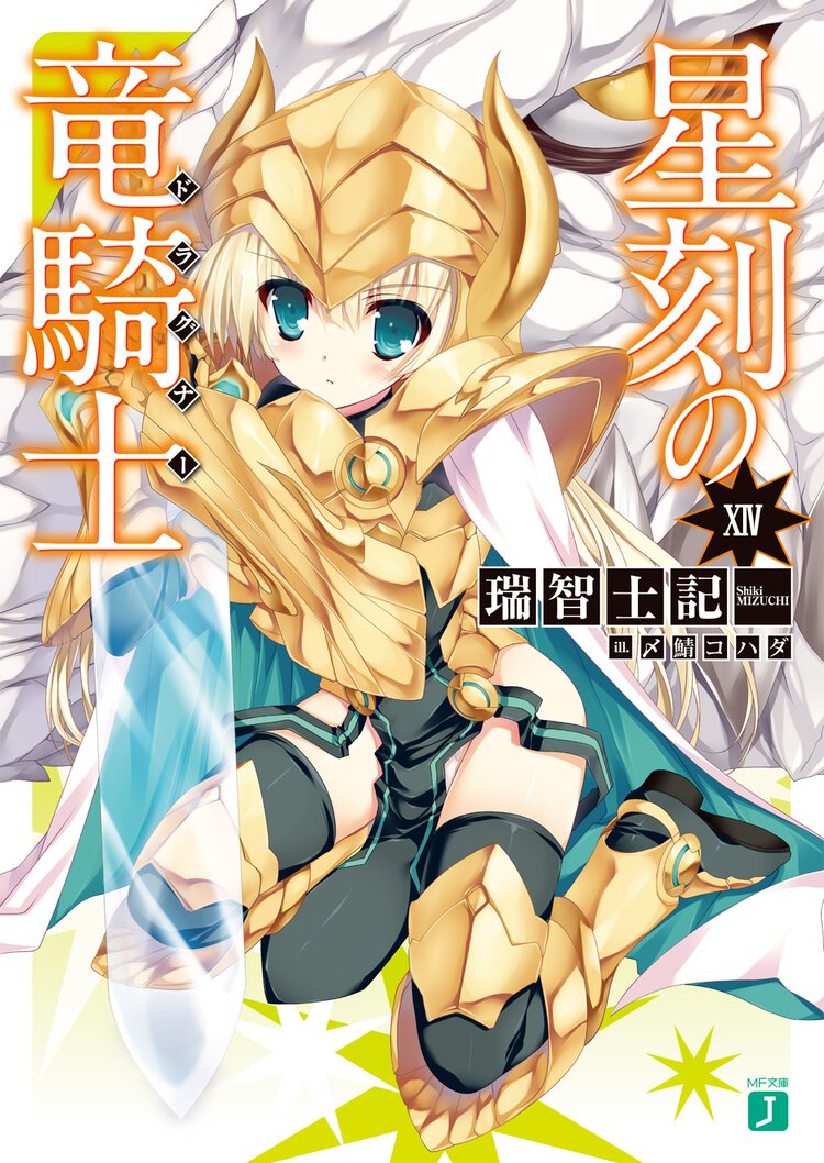 星刻の竜騎士 １４