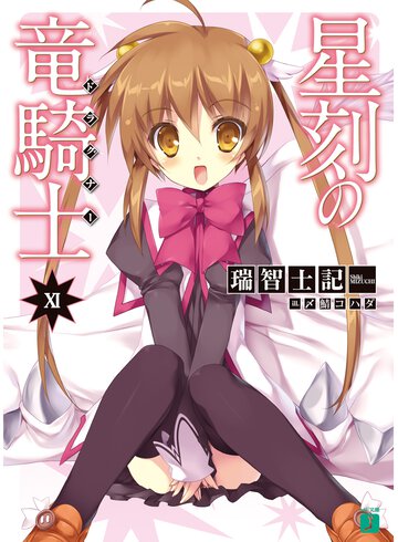 星刻の竜騎士 １１