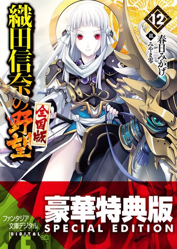 織田信奈の野望全国版 １２