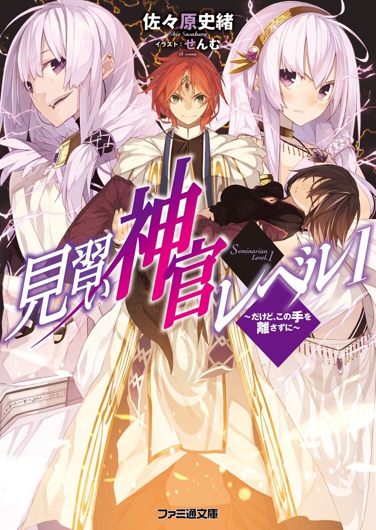 見習い神官レベル１ だけど、この手を離さずに