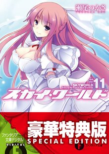 スカイ・ワ－ルド １１