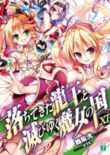 落ちてきた龍王と滅びゆく魔女の国 １１
