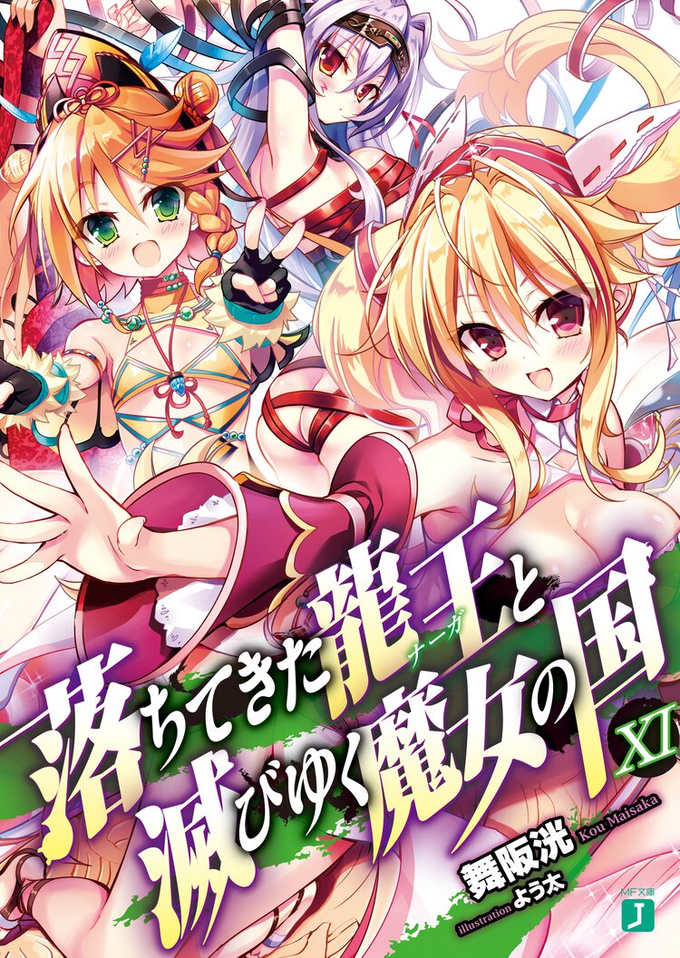 落ちてきた龍王と滅びゆく魔女の国 １１