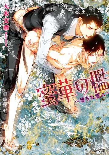 蜜華の檻 堕ちた麗人