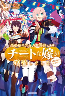 異世界でスキルを解体したらチートな嫁が増殖しました 概念交差のストラクチャー ４