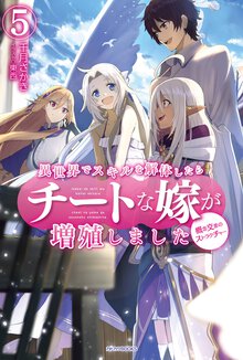 異世界でスキルを解体したらチートな嫁が増殖しました 概念交差のストラクチャー ５