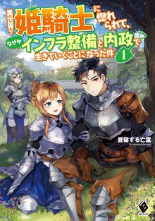 異世界で姫騎士に惚れられて、なぜかインフラ整備と内政で生きていくことになった件 １