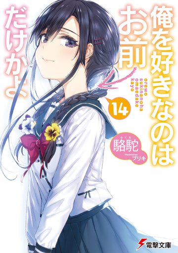 俺を好きなのはお前だけかよ １４