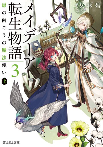メイデーア転生物語 ３ 扉の向こうの魔法使い