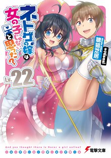 ネトゲの嫁は女の子じゃないと思った？ Ｌｖ．２２