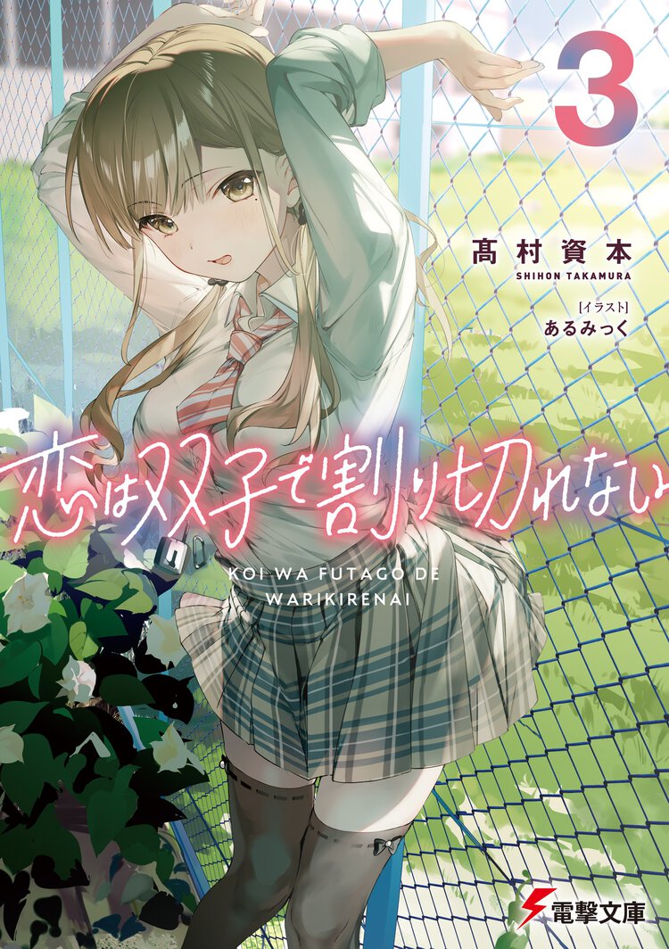 恋は双子で割り切れない ３