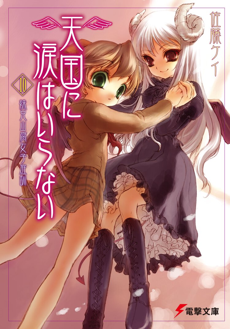 天国に涙はいらない １０ 妹兄山腐女子（やおいおんな）庭訓