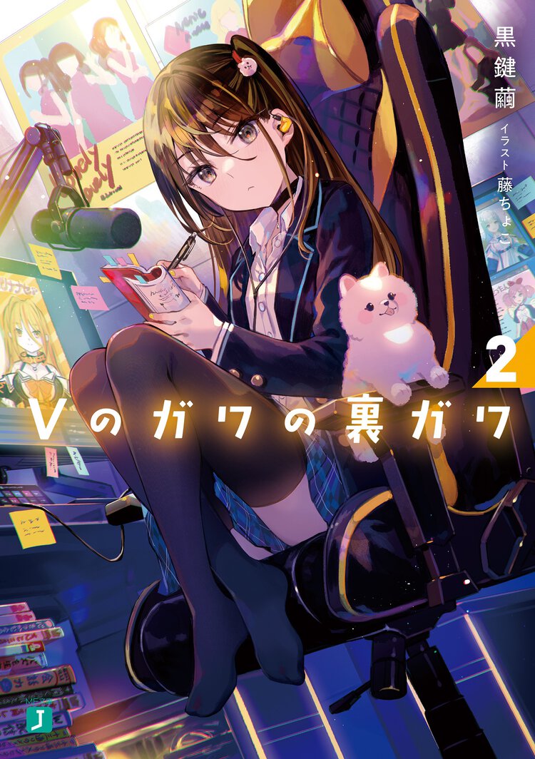 Ｖのガワの裏ガワ ２