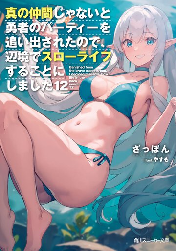 真の仲間じゃないと勇者のパーティーを追い出されたので、辺境でスローライフすることにしました １２
