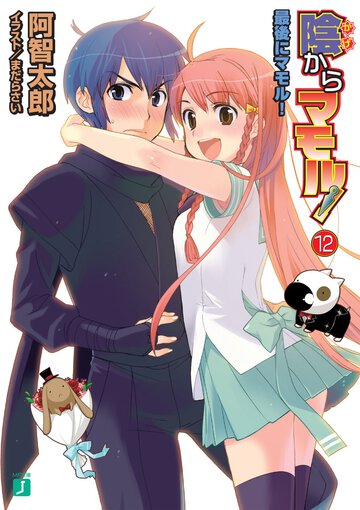 陰からマモル！ １２ 最後にマモル！