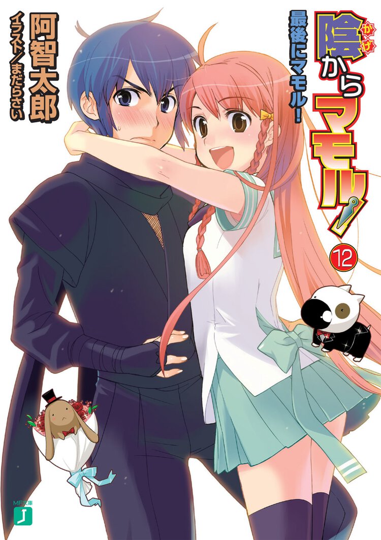 陰からマモル！ １２ 最後にマモル！