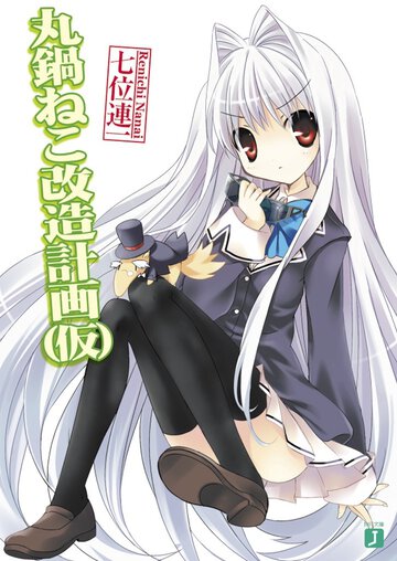 丸鍋ねこ改造計画（仮）
