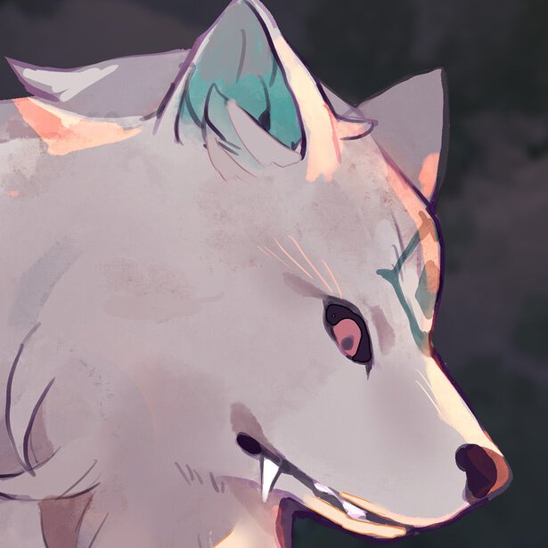 白狼