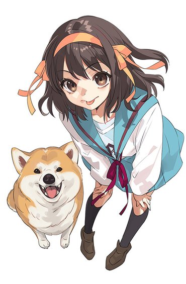 『涼宮ハルヒの憂鬱』　©谷川流・いとうのいぢ