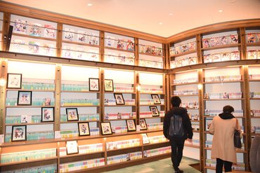 ライトノベル・ブックシェルフ