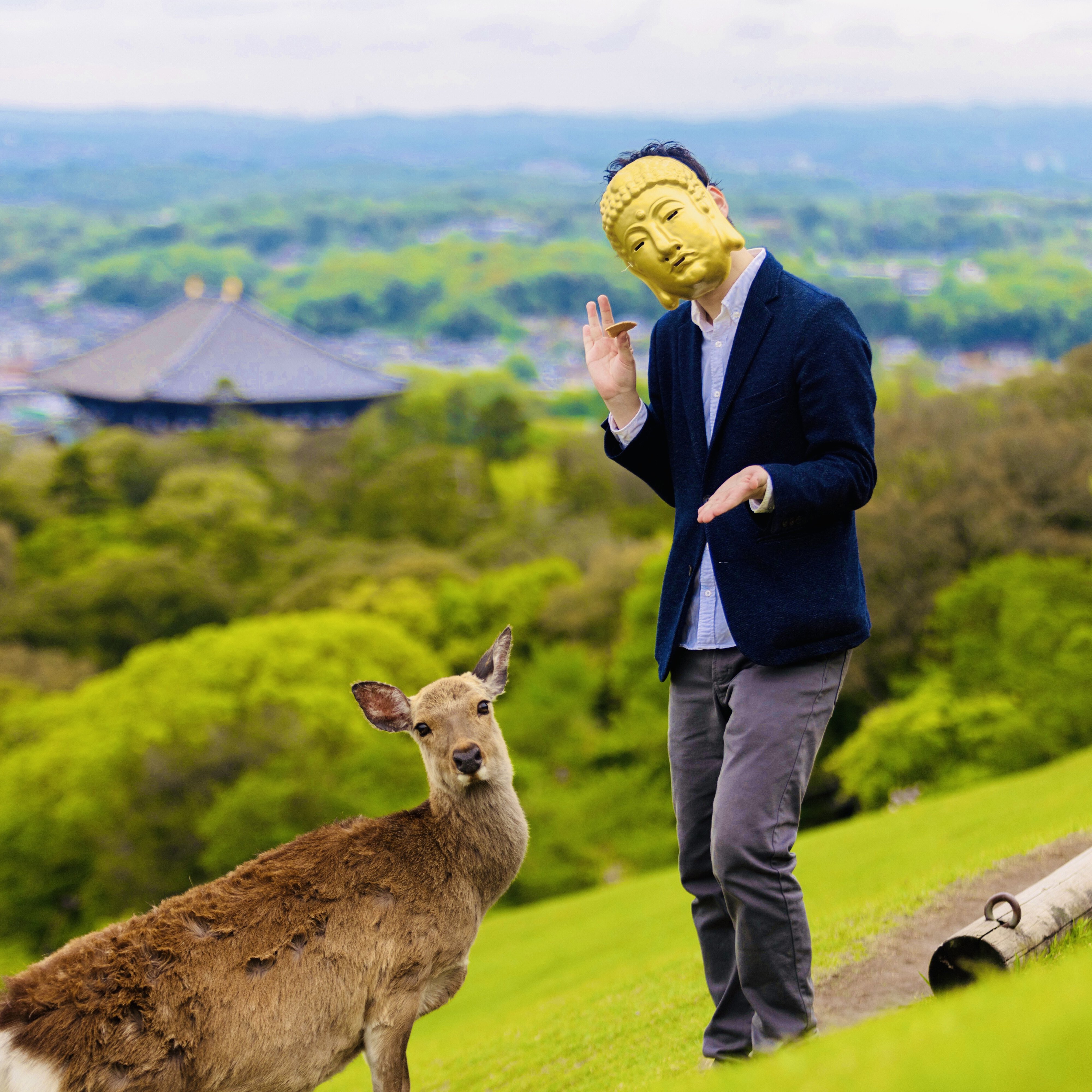 あをにまる
